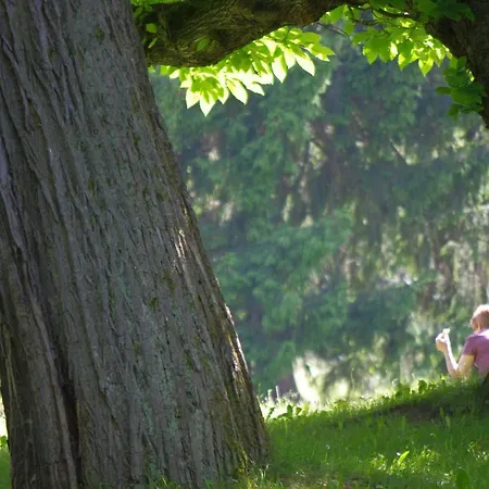 Feriendomizil Schlossblick Casa de hóspedes Blankenburg (Harz)