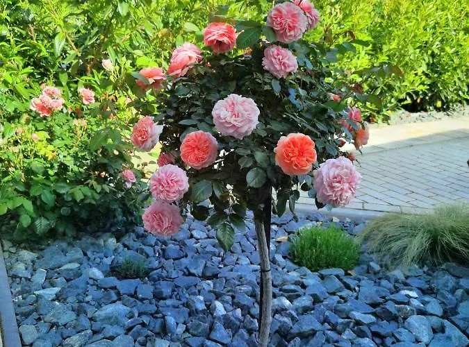 Feriendomizil Schlossblick