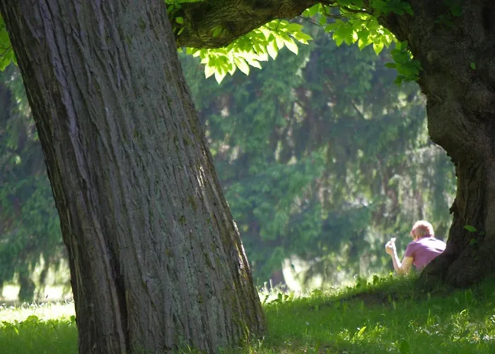 Feriendomizil Schlossblick Pensionat Blankenburg (Harz)